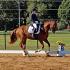 Flight Line Dressage Show